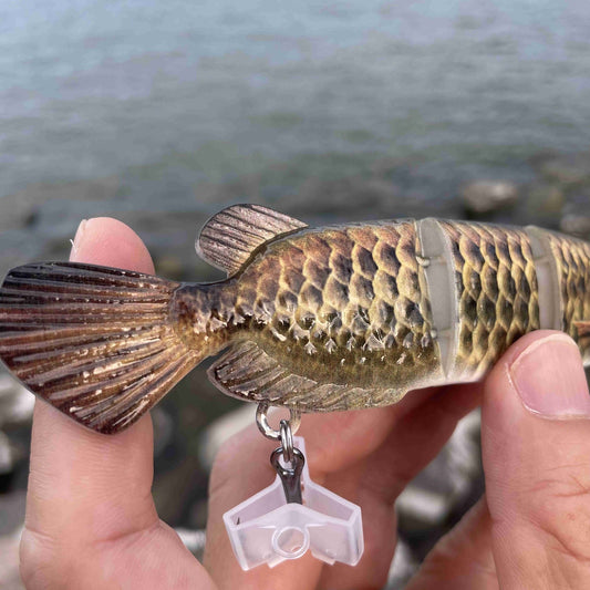 Real shot: Bionic Golden Dragonfish full-water depth bionic lure, hard lure, slow sinking, multi-segmented lure for sea fishing.