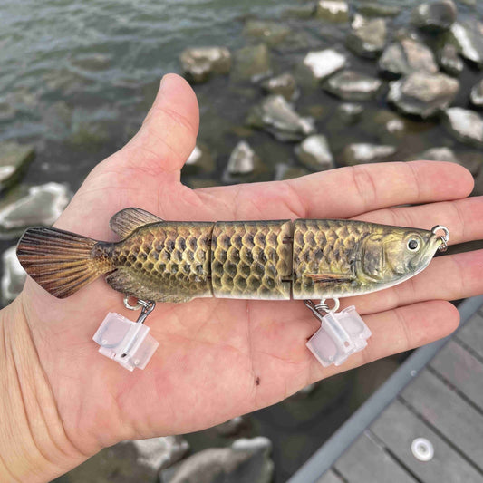 Real shot: Bionic Golden Dragonfish full-water depth bionic lure, hard lure, slow sinking, multi-segmented lure for sea fishing.