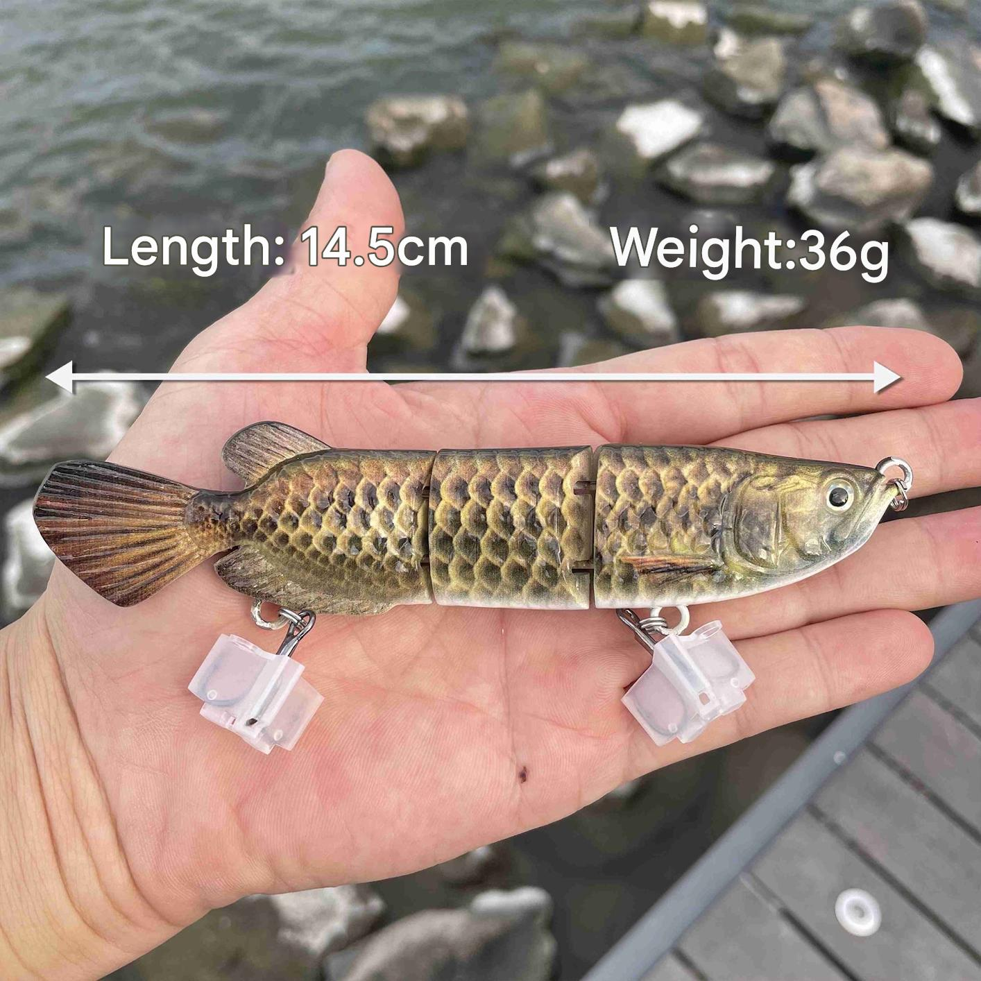 Real shot: Bionic Golden Dragonfish full-water depth bionic lure, hard lure, slow sinking, multi-segmented lure for sea fishing.