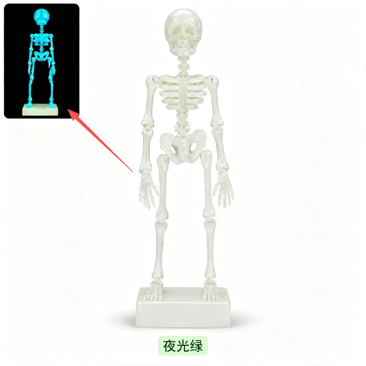 Creative Skull Aquarium Ornament: Dancing/Swaying Movable Aeration Decoration (Requires 4–5mm Air Tubing)